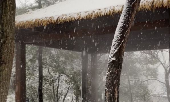 Wuta Xinshe Tangquan Homestay (Hangzhou Stork Branch)