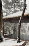 Wuta Xinshe Tangquan Homestay (Hangzhou Stork Branch) - Villas