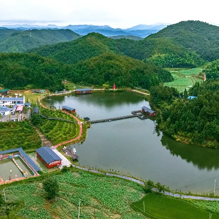 Shilihong Rhododendron Farm