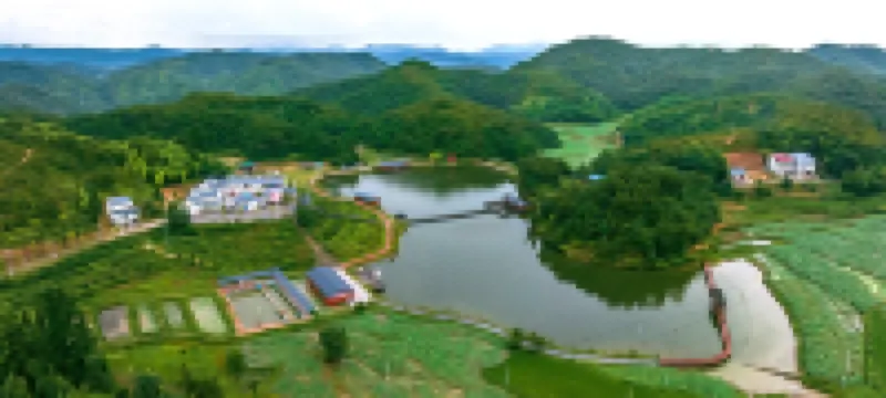 Shilihong Rhododendron Farm