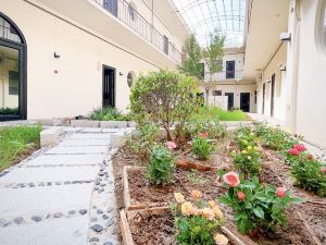 Alley Courtyard Homestay