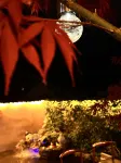 Hushan Yinyuan Homestay