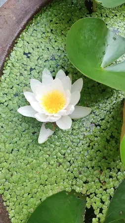 Zaozhuang Runsenyuan Hotel Отели рядом со станцией Zaozhuang East Railway Station