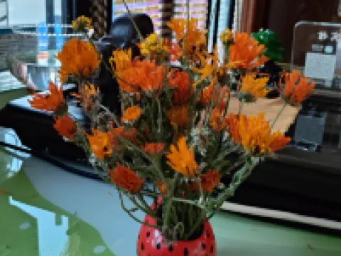 Jinsheng Hotel Hotels in Tahe