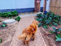 Kerui Family Farm Homestay Hotels in Huailai