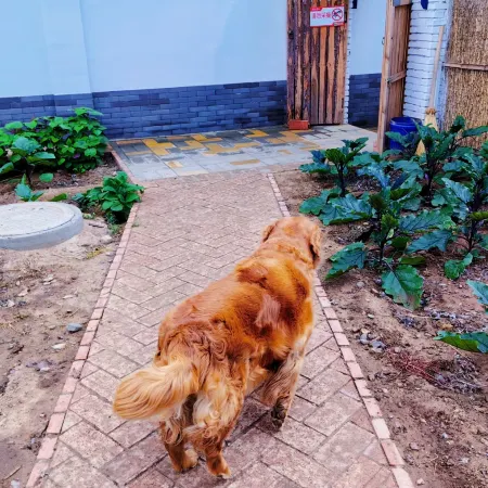 Kerui Family Farm Homestay