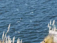 大理雲影春曉·有緣等風來海景度假飯店（雙廊洱海店） 雙廊附近的飯店