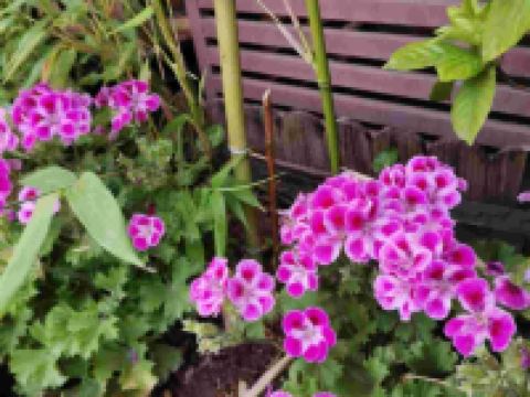 西昌九宿民宿 - 其他