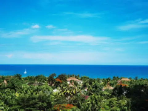 Ocean Holiday Apartment