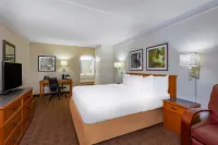 La Quinta East Deerfield Beach - Boca Raton Hotels in Deerfield Beach