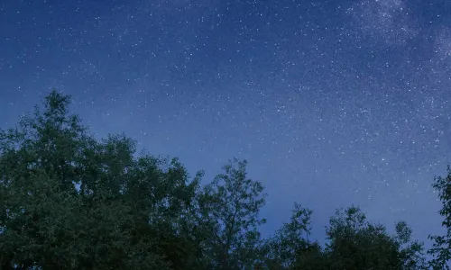 飛蔦集民宿(中衛)