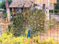 PALACE GARDEN Tai He Fu Hotel