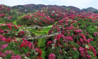 Garden Hotel