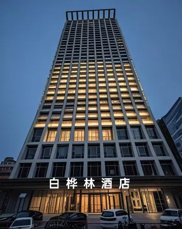 Birches Hotel (Shenyang Sanhao Street Shengjing Hospital) Отели рядом с достопримечательностью «Shenyang Science Palace»