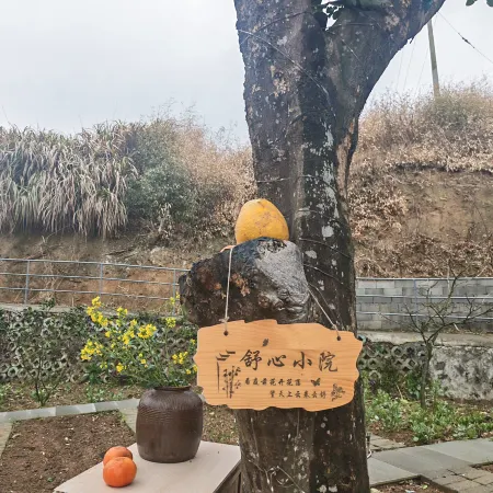 Lushan Guanhai Tingtao Homestay