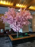 Naiman Banner Water Yun Tiancheng Hotel