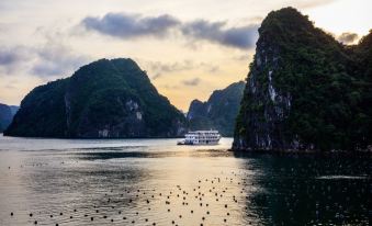 Alisa Cruise Halong