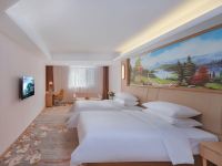 维也纳国际酒店(衡水枣强店) - 行政双床房