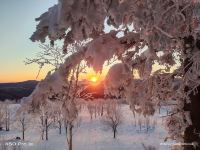 雪乡张利成家庭旅馆 - 酒店附近