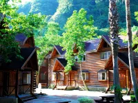 Master Bear Resort Hongye Teenage Baseball Memorial Hall周辺のホテル