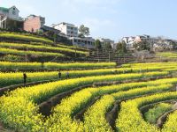 永嘉茗岙田中田客栈 - 酒店附近