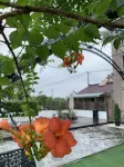 Shanghai COZY-Kushi Countryside Resort Homestay - Villas