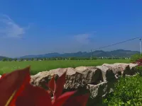 Buried hill Pottery Field · Yu Homestay