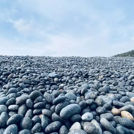 Zhoushan Zhujiajian Chanlu · Lanting Seaview Villa Hotel
