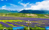 Lavender Hotel Hotels near Xunyicao Base