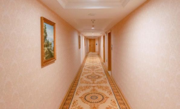 Borrman Hotel (Nanning Anji Wanda Plaza Sulu Subway Station)