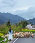 宏村不捨.碧山民宿 - 寵物友善