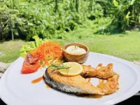 Bridge Hill Cafe Glamping 파놈 호텔
