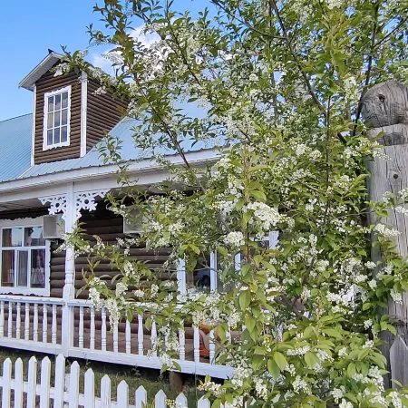 Ergun Shiwei Border Elegant Residence Homestay