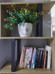 Luzhou Zhongyou Homestay - 2 ดาว