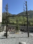 Jinghuyunju