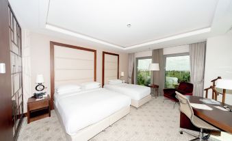 Doubletree by Hilton Istanbul Topkapi