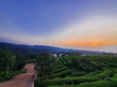 Earthly Teauage Homestay