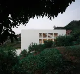 Tang Zhi BEGONIA Guesthouse - Quầy bar