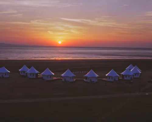 My forest-east sea Beach Resort Homestay Hotels in Daishan