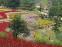 Yashan Tourism Resort Area Luojia Xiangcai Homestay - Pet friendly