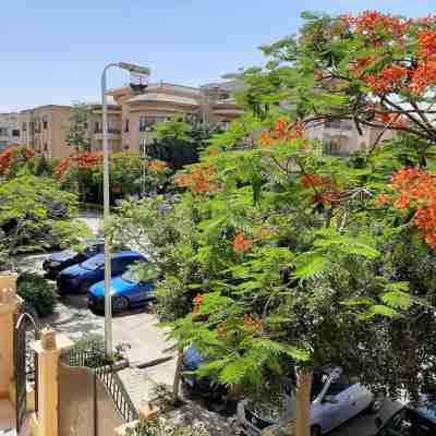 Small Friendly Apart in a Villa - New Cairo Hotel Exterior