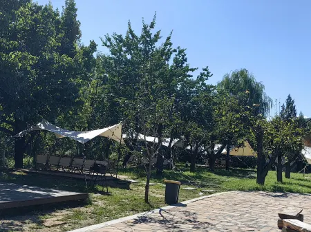 Yushe Dan'er Farmhouse Fun Отели в г. Юйшэ