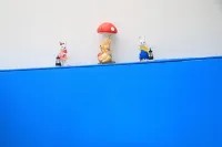 Dai shan hai zhi yu holiday hotel