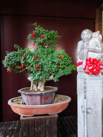 Meilun Hotel (Xi'an Zhonglou Subway Station Huiminjie) Photos