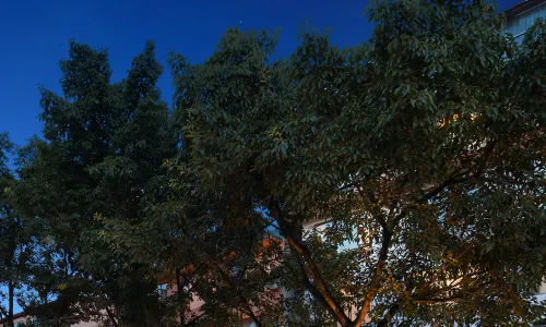 Return to Emei mountaineer Hotel