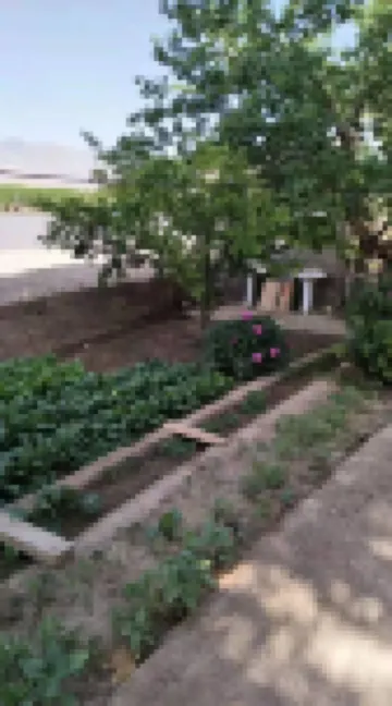 Jingtai Galaxy Farmhouse