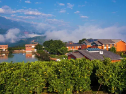 Chu Orange Manor Hotel a Xinping