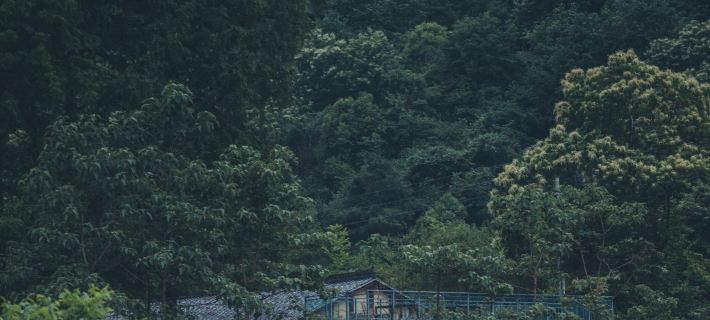 YJXL Ξενοδοχεία στην πόλη Λιούμπα