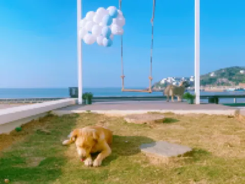 Shengsi Huasha Seaview Cafe Homestay (Huicheng) Hotels near Heshangtao Scenic Spot