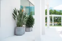 Lushan Xihaiqi Hot Spring Homestay